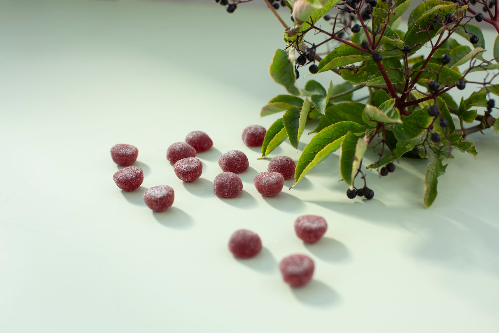 Exploring Gummies: The Best Non-Pill Form of Vitamins for Adults